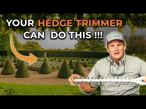 STIHL HSA 60 Battery Powered Hedge Trimmer Set | Main Street Mower | Winter Garden | Clermont | Ocala