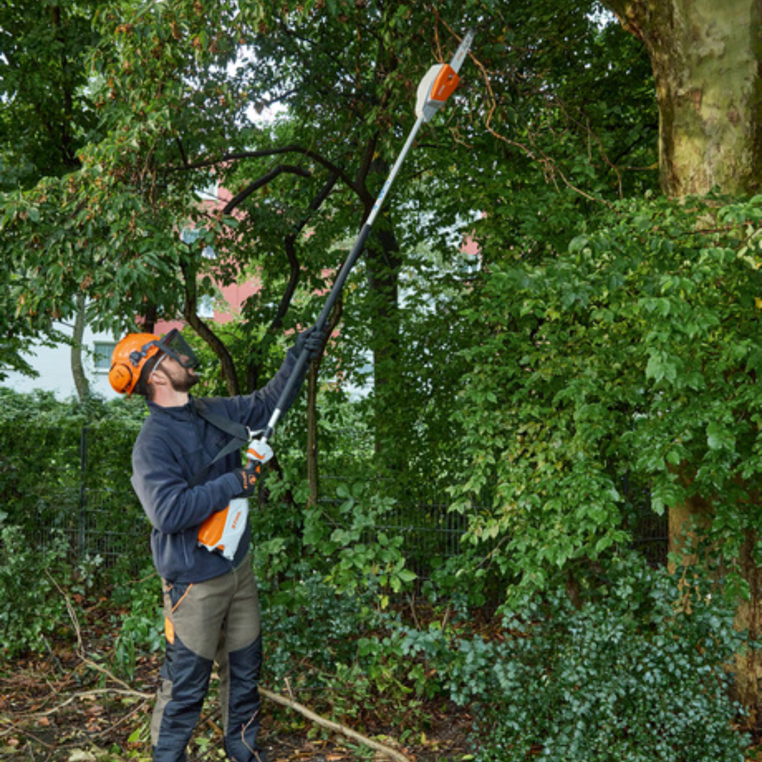 STIHL HTA 66 Fixed Length Battery Powered Pole Pruner | Main Street Mower | Winter Garden | Clermont | Ocala