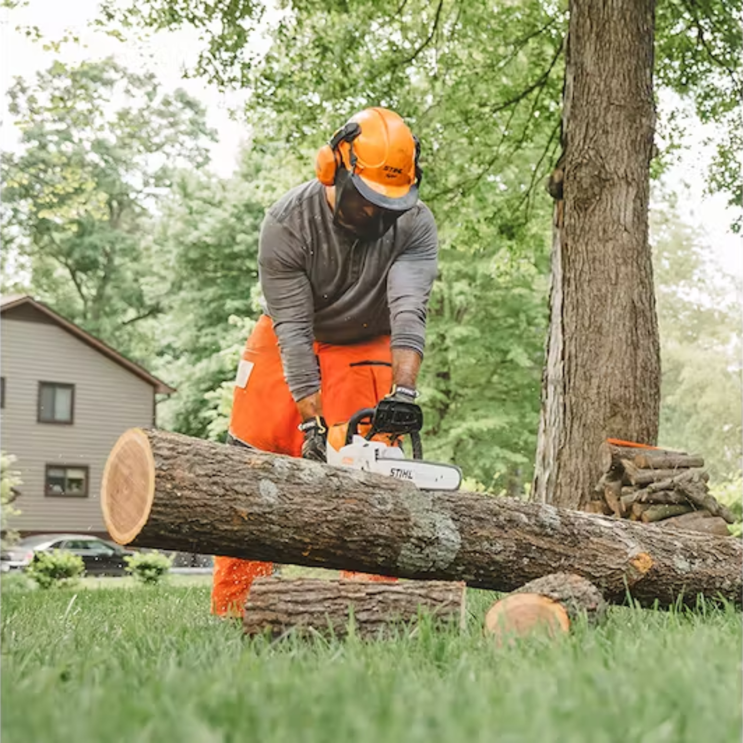 STIHL MSA 220 C-B Battery Powered Chainsaw with Quickstop | Tool Only | Main Street Mower | Winter Garden | Clermont | Ocala